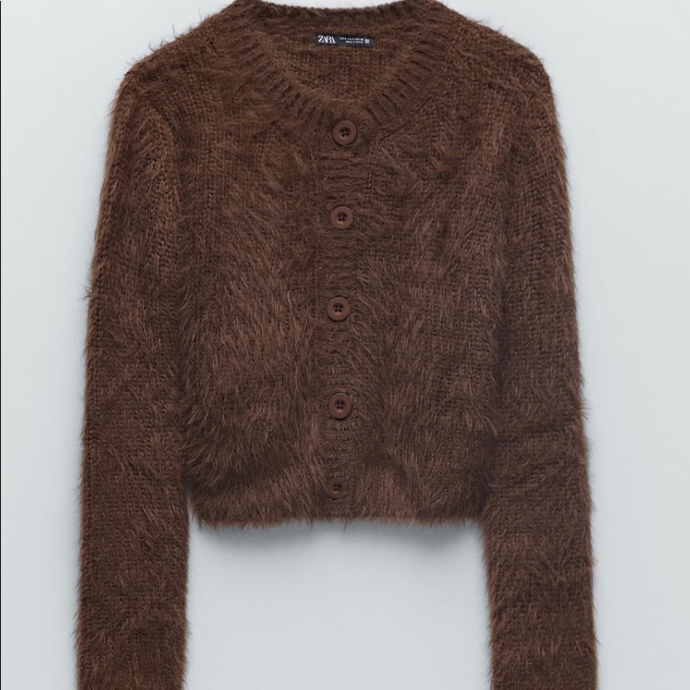 ZARA Faux Fur Jacket